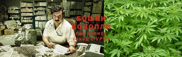 PSILOCYBIN Киренск