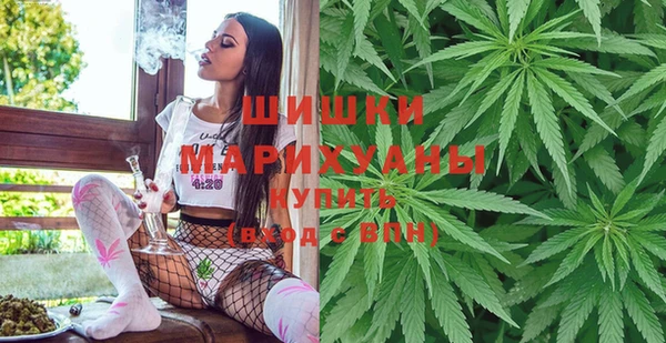 PSILOCYBIN Киренск