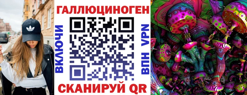Галлюциногенные грибы GOLDEN TEACHER  Купить где  Дубна 